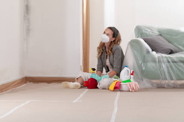Reliable Mold Remediation contractor in Lake Hopatcong, NJ by WQB Mold Removal